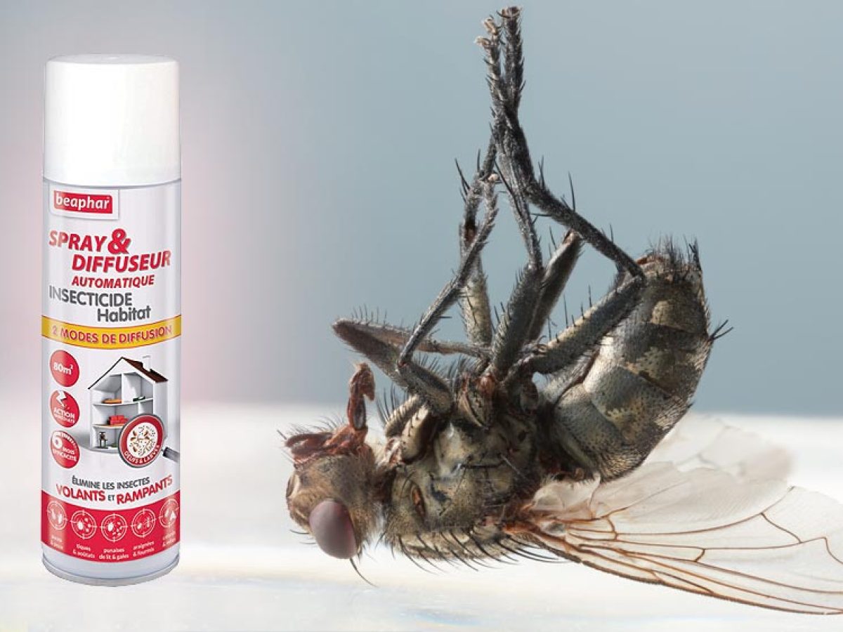 Rideau anti mouche et moustique : la solution contre les insectes