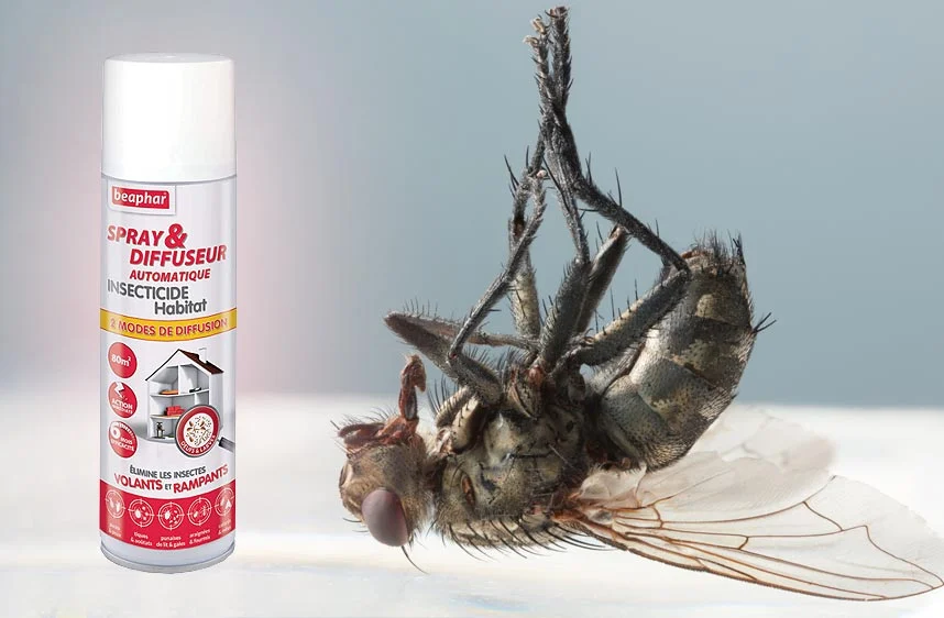 Bloq'Insectes en spray pour protéger la maison des insectes