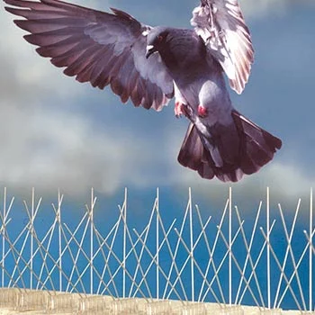 Filet Anti-Pigeon : la solution efficace pour les faire fuir ?